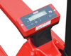RAVAS 1100 Indicator