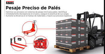 15 Enero Pales