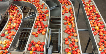 Header Image Industry Food 1920X780