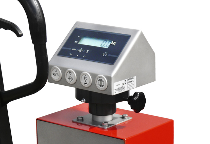RAVAS Proline 2100 Exi Indicator 828X570