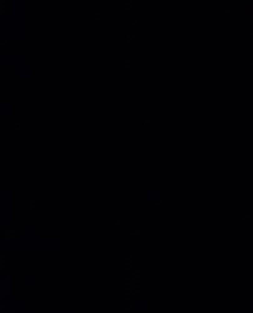 Black 330X460