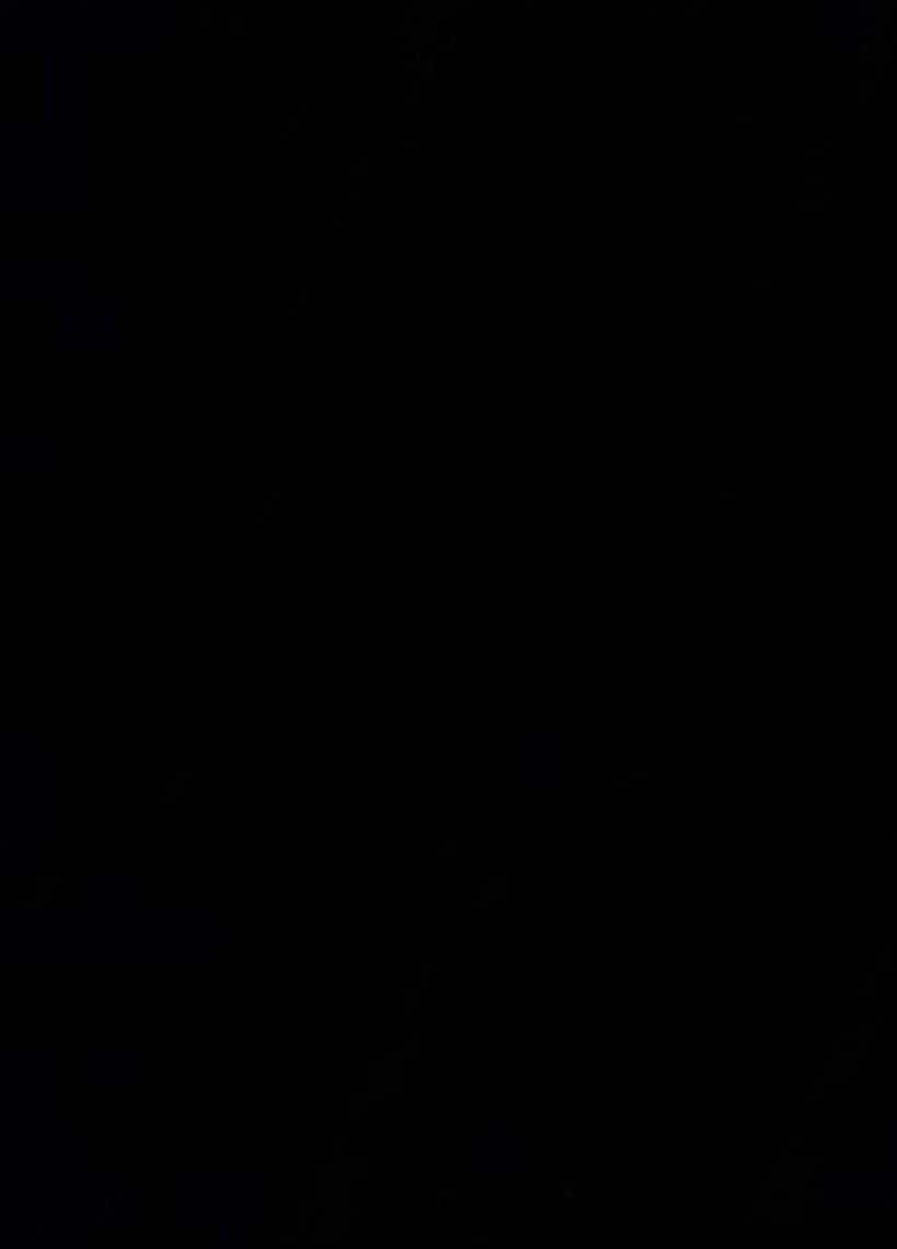 Black 330X460