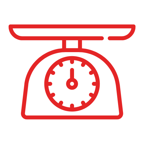 Icon Scale 500X500