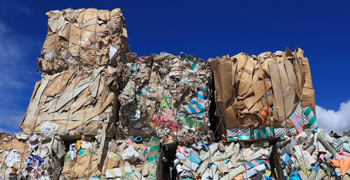 Headerimages 1920X780 Waste Management
